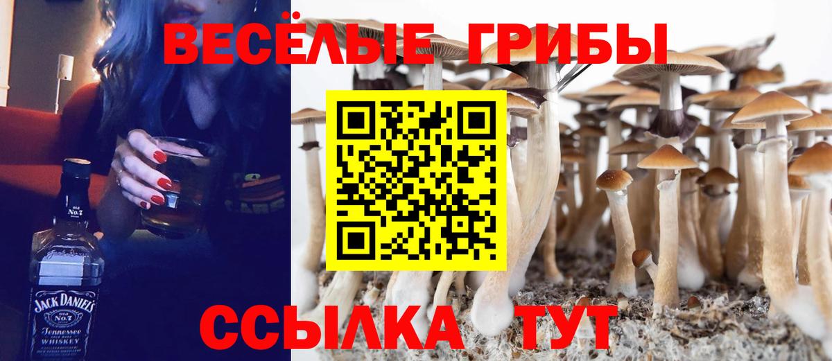 наркотики  Псилоцибиновые грибы прущие грибы  Казань  Вход с VPN  Галлюциногенные грибы прущие грибы 